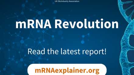 2024 mRNA report.png