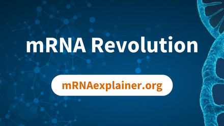 2024 mRNA report (1).png